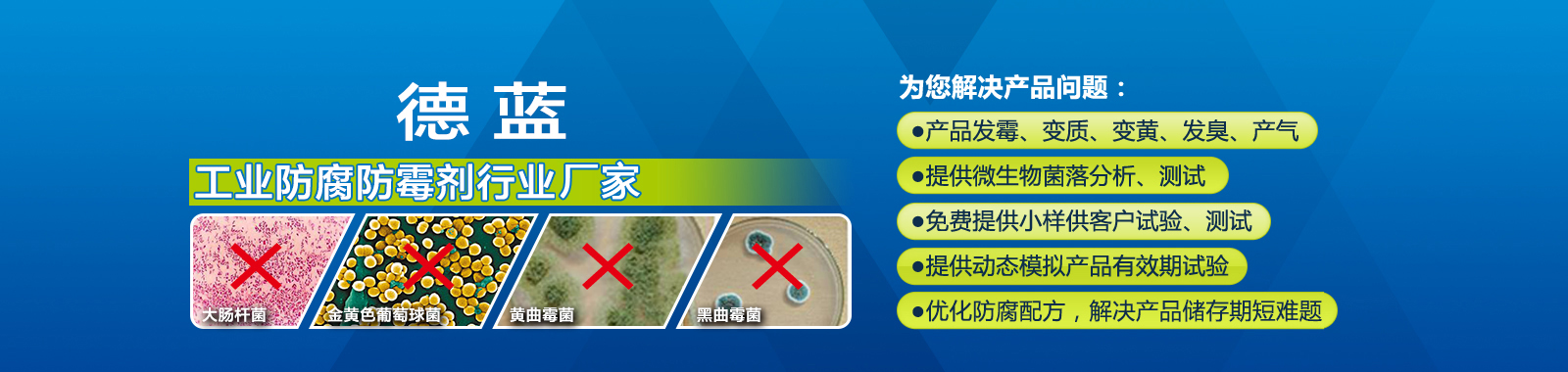 山東德藍(lán)化工有限公司